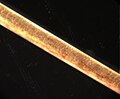 Thumbnail for version as of 18:35, 26 November 2006